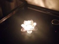 -东方菩提养生SPA馆(武昌总店)