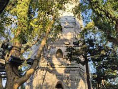 -江心屿景区