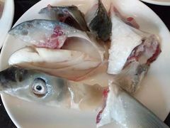 -正能量脆肉鲩火锅