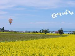 -青海湖国家重点风景名胜区