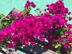 -卡帕莱度假村(西巴丹岛)