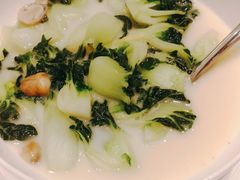 白菜仔-东富酒家(龙湖西溪天街店)