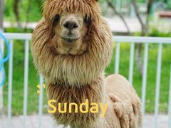 -水上乐园·欢乐世界