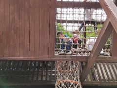-中国福利会少年宫