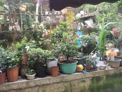 -鱼乐岛餐厅·户外花园主题餐厅