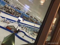 -长沙湘江冰雪世界