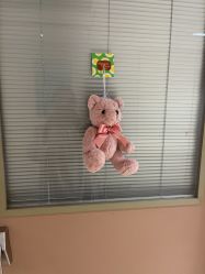 -杭州贝瑞斯美华妇儿医院·早孕·产检·儿科