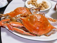 -金海湾海鲜排档(朱家尖店)
