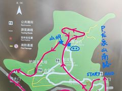 -上海佘山国家森林公园天马山园