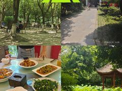 -两河城市森林公园