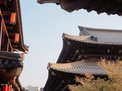 -香积寺