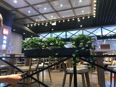 -无限双拼照烧双拼饭(和平店)
