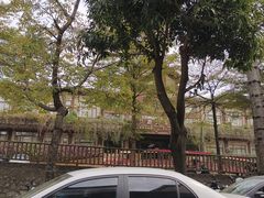 -长鹿旅游休博园