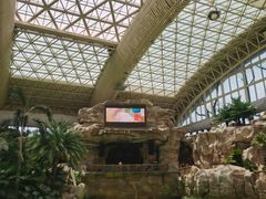 -杭州开元森泊度假乐园