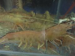 -真味馆(侨港碧海银滩店)
