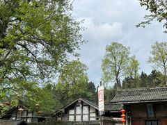 -雅安上里古镇
