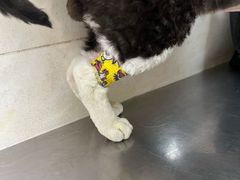 -酷宠动物医院(天通西苑店)