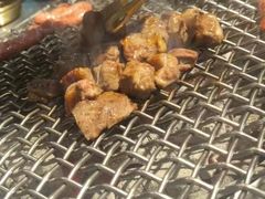 -可心筛网烤肉(南关区幸福一路店)