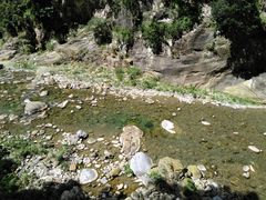 -太鲁阁公园