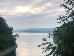 -千岛湖伯瑞特度假酒店-米兰西餐厅
