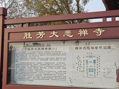 -大悲禅寺