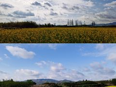 -良渚古城遗址公园