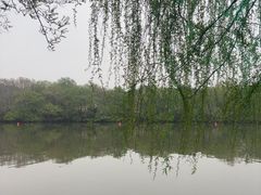 -凤城河风景区