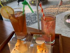 -柴犬高等学院·狗咖·柴犬售卖·宠物训练