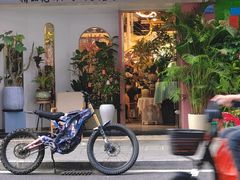 -溪岸路花鸟市场