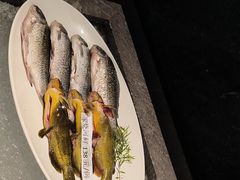 -大唐凤凰园美食城(卫国路总店)