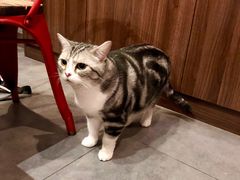 -咖法森林·咖啡  酒吧(天河店)