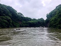 -塞尔夫岛