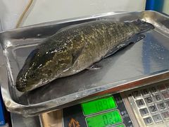 -活鱼馆(宜兴埠店)