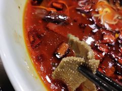 -陈麻婆豆腐总店