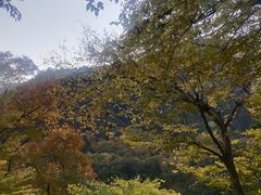 -北京上方山国家森林公园