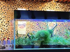 -渔寿司·日本料理(艾尚天地店)