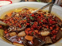 -青年公社烤鸭(青年路店)