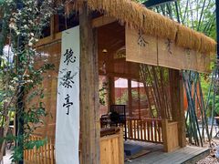 -扫雪煮茶(西村店)