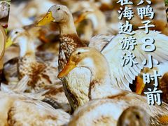 -虎婆冷饮店·海南特色炒冰(三亚湾店)