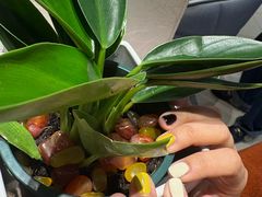 -海底捞火锅(龙湖北京大兴天街店)