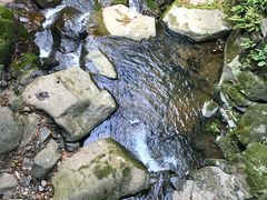 -藏龙百瀑风景区
