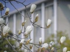 -安徽大学(磬苑校区)