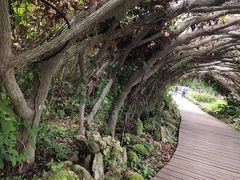 -广西壮族自治区药用植物园