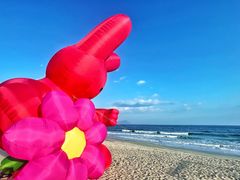 -西涌国际滨海旅游区