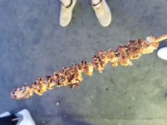 -大学城夜市大排档(凤栖路店)