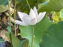 -嘉北郊野公园