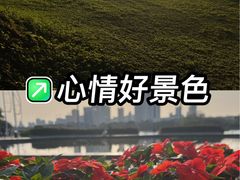 -南宁南湖公园