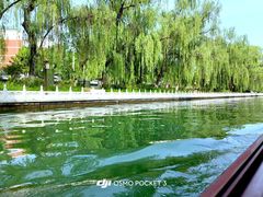 -皇家御河游(紫御湾码头)