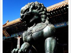 -颐和园