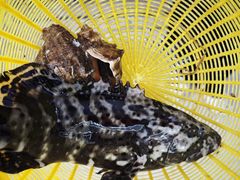 -鑫鸿达·海鲜闽菜热炒小馆(中山路店)